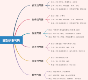 鉴别诊断气胸
