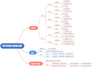 眼外肌瞳孔的解剖生理
