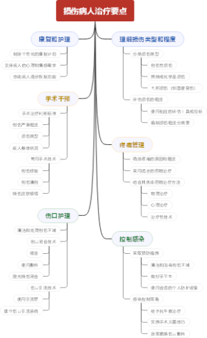 损伤病人治疗要点