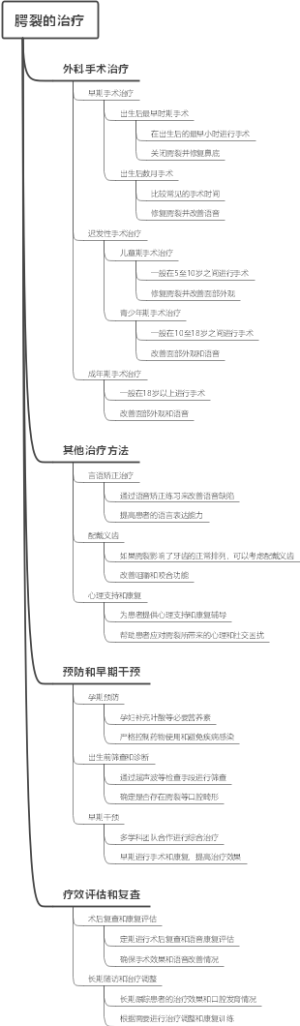 腭裂的治疗