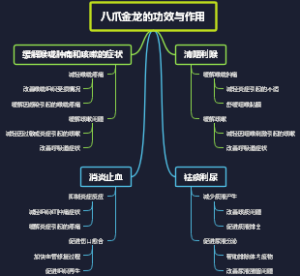 八爪金龙的功效与作用