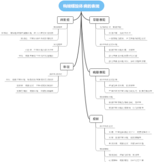 钩端螺旋体病的表现