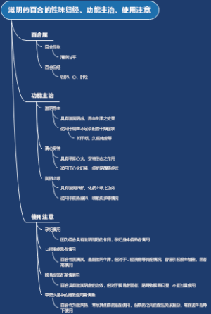 滋阴药百合的性味归经、功能主治、使用注意