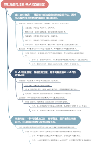 血红蛋白电泳及HbA2定量测定