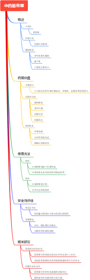 中药筋骨草