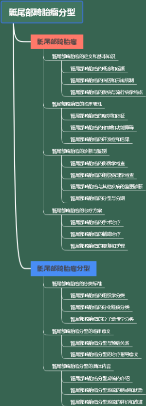 骶尾部畸胎瘤分型