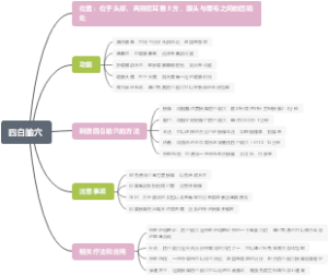 四白腧穴