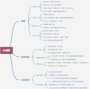 水蜡树