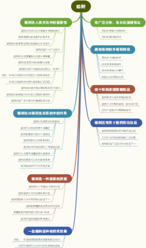 蜡树