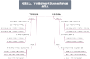 对鉴别上、下尿路感染最有意义的是诊断检查是什么