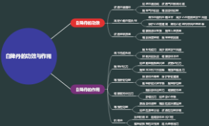 白降丹的功效与作用