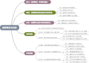 峨屏草性味归经