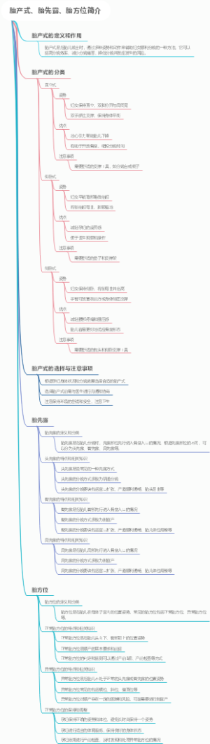 胎产式、胎先露、胎方位简介