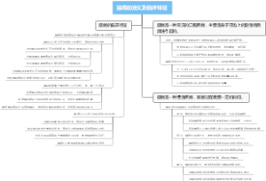 龋病的定义及临床特征