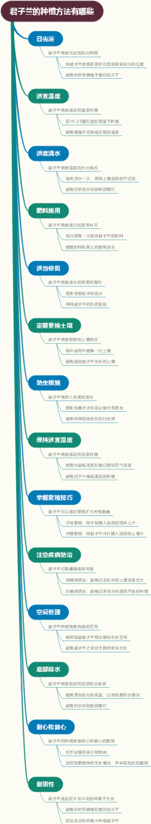君子兰的种植方法有哪些