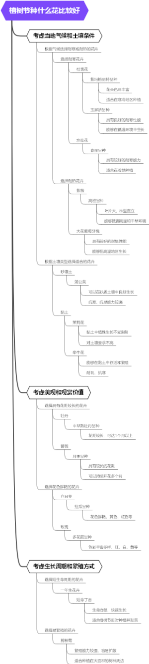 植树节种什么花比较好