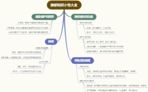 肺部知识小包大全