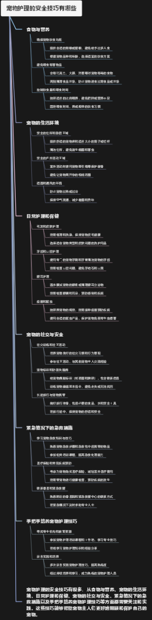 宠物护理的安全技巧有哪些