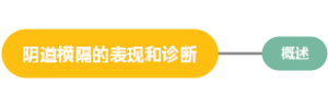 腹围正确的测量方法
