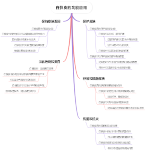 白藓皮的功能应用