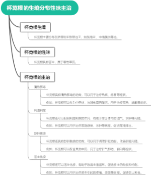 杯苋根的生境分布性味主治