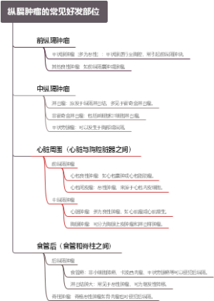 纵膈肿瘤的常见好发部位