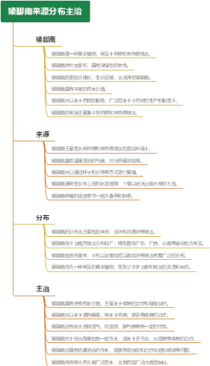 矮脚南来源分布主治