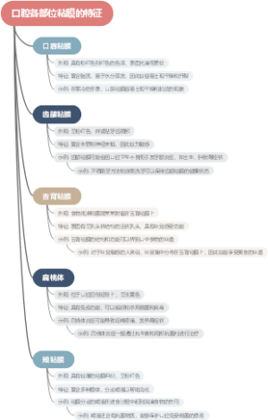 口腔各部位粘膜的特征