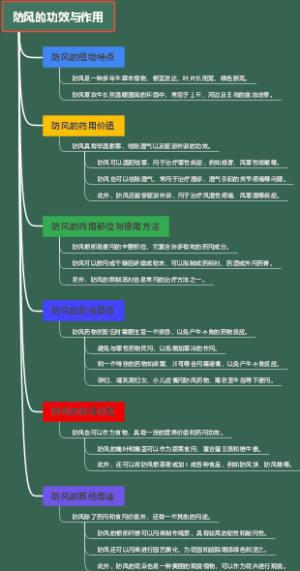 防风的功效与作用