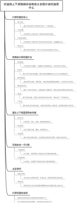 对鉴别上下尿路感染最有意义的是诊断检查是什么