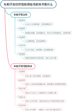 车前子的功效包括哪些性能特点是什么