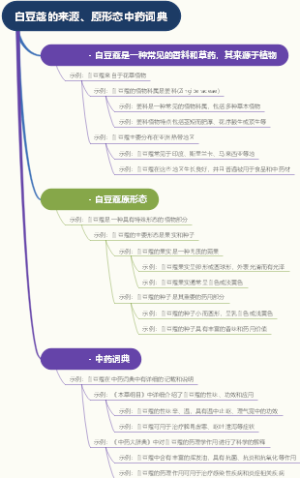 白豆蔻的来源、原形态中药词典