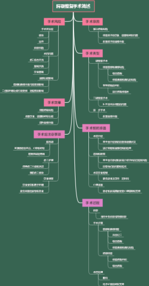 腭裂整复手术简述