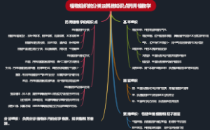 植物组织的分类及其他知识点药用植物学