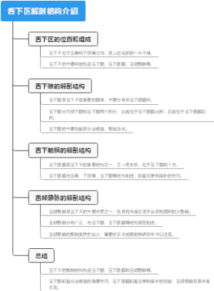 舌下区解剖结构介绍