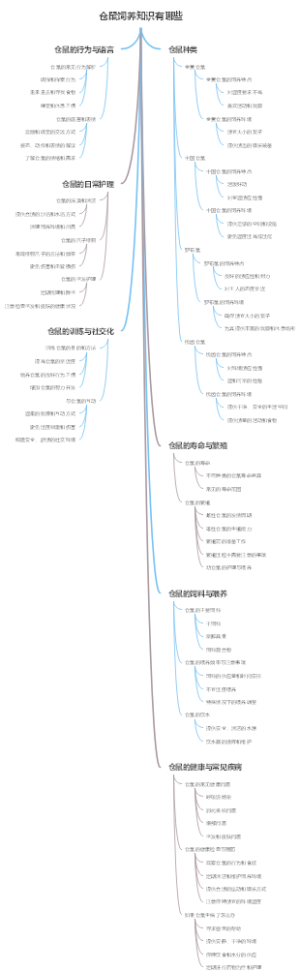 仓鼠饲养知识有哪些