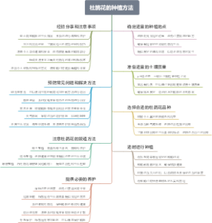 杜鹃花的种植方法