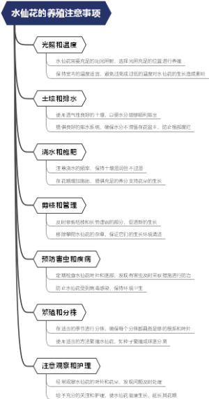 水仙花的养殖注意事项