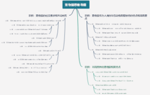 宠物猫思维导图