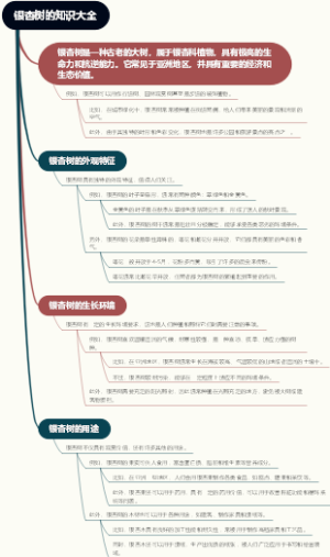 银杏树的知识大全