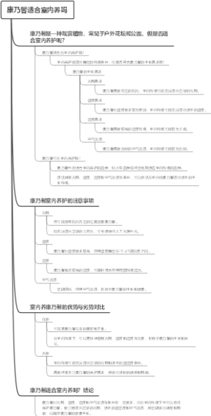 康乃馨适合室内养吗