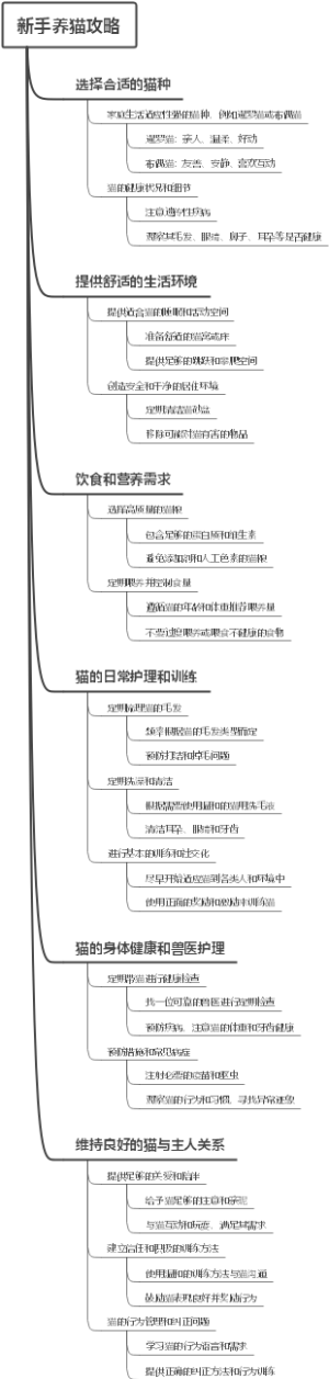 新手养猫攻略
