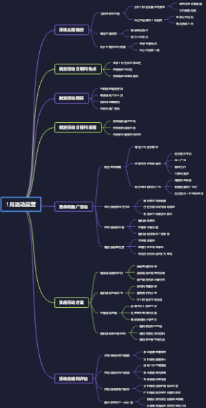 1月活动运营