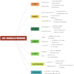 头发干燥枯黄怎么护理思维导图