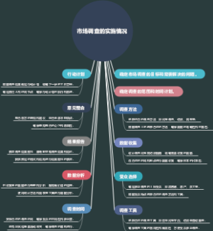 市场调查的实施情况