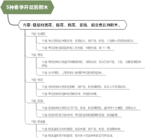 5种春季开花的树木