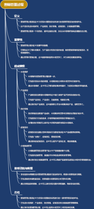 营销管理过程