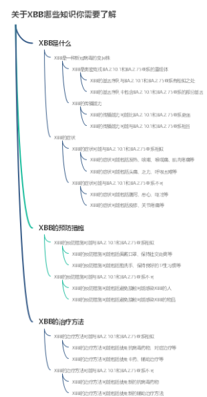 关于XBB哪些知识你需要了解