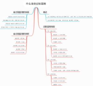 什么是全过程管理