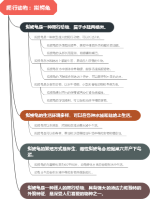 爬行动物：拟鳄龟